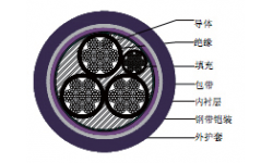 塑料绝缘低温固定安装电力电缆