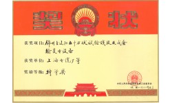 五十万伏试验线段及成套输变电设备特等奖